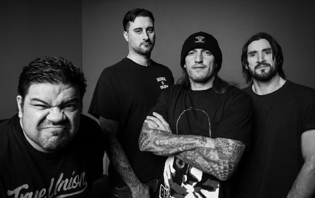 about madball - Madball Shop